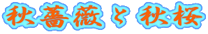 HKNƏH
