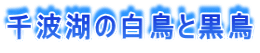 g΂̔ƍ 