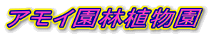 ACѐA
