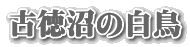 Ó̔