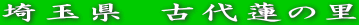ʌ@Ñ@̗