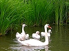 NbNđ傫ʐ^