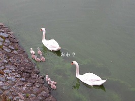 NbNđ傫ʐ^