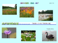 NbNđ傫ʐ^