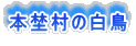 {W̔