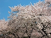 NbNđ傫ʐ^