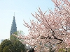 NbNđ傫ʐ^