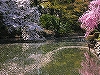 TN{̉