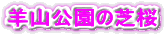 rR̎ō
