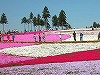 NbNđ傫ʐ^
