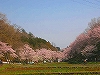 NbNđ傫ʐ^