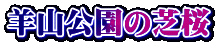 rR̎ō