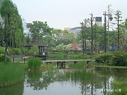 剡ł