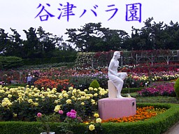 NbNđ傫ʐ^