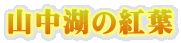 R΂̍gt 