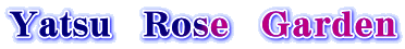 Yatsu@q@f