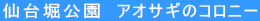 x@AITM̃Rj[ 