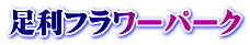t[p[N