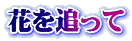 Ԃǂ
