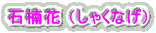 Γ iႭȂj
